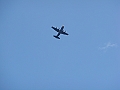Western Michigan [2010] 464